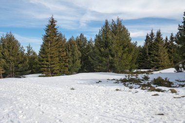 Vitosha Dağı 'nın kış manzarası, Sofya Şehir Bölgesi, Bulgaristan