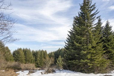 Vitosha Dağı 'nın kış manzarası, Sofya Şehir Bölgesi, Bulgaristan