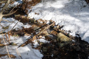 Vitosha Dağı 'nın kış manzarası, Sofya Şehir Bölgesi, Bulgaristan