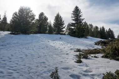Vitosha Dağı 'nın kış manzarası, Sofya Şehir Bölgesi, Bulgaristan