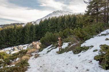 Vitosha Dağı 'nın kış manzarası, Sofya Şehir Bölgesi, Bulgaristan