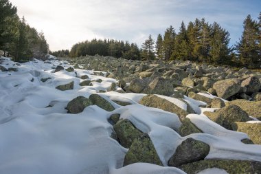 Vitosha Dağı 'nın kış manzarası, Sofya Şehir Bölgesi, Bulgaristan