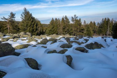 Vitosha Dağı 'nın kış manzarası, Sofya Şehir Bölgesi, Bulgaristan