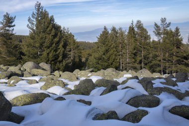 Vitosha Dağı 'nın kış manzarası, Sofya Şehir Bölgesi, Bulgaristan