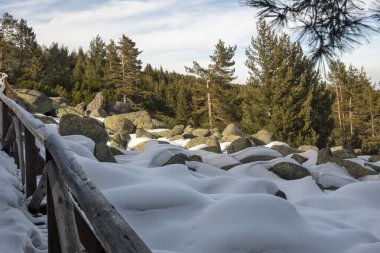 Vitosha Dağı 'nın kış manzarası, Sofya Şehir Bölgesi, Bulgaristan