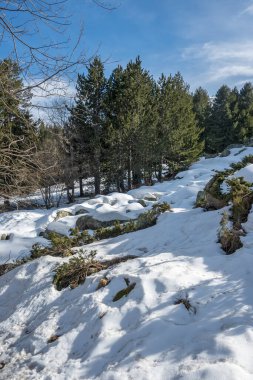 Vitosha Dağı 'nın kış manzarası, Sofya Şehir Bölgesi, Bulgaristan