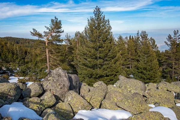 Small mountain river in Vitosha mountain, Sofia Stock Photo - Alamy