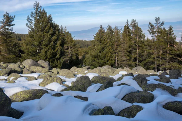 Зимовий Пейзаж Гори Вітоша Софійський Міський Район Болгарія — стокове фото