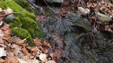 Bulgaristan 'ın başkenti Sofya' daki Vitosha Dağı 'ndaki küçük nehrin bahar manzarası