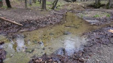Bulgaristan 'ın başkenti Sofya' daki Vitosha Dağı 'ndaki küçük nehrin bahar manzarası