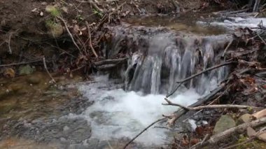 Bulgaristan 'ın başkenti Sofya' daki Vitosha Dağı 'ndaki küçük nehrin bahar manzarası