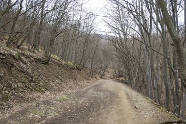 Vitosha Dağı 'nın bahar manzarası, Sofya Şehri bölgesi, Bulgaristan