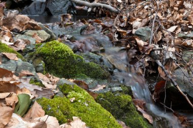 Vitosha Dağı 'nın bahar manzarası, Sofya Şehri bölgesi, Bulgaristan