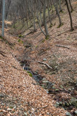 Vitosha Dağı 'nın bahar manzarası, Sofya Şehri bölgesi, Bulgaristan