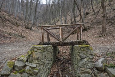 Vitosha Dağı 'nın bahar manzarası, Sofya Şehri bölgesi, Bulgaristan