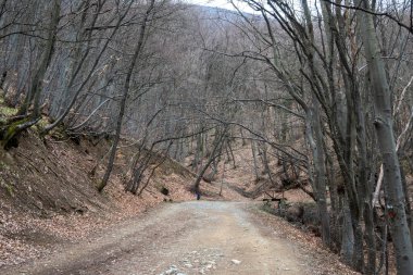 Vitosha Dağı 'nın bahar manzarası, Sofya Şehri bölgesi, Bulgaristan