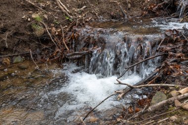 Vitosha Dağı 'nın bahar manzarası, Sofya Şehri bölgesi, Bulgaristan