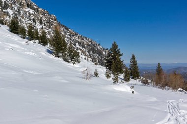 Amazing Winter view of Rila Mountain near Malyovitsa peak, Bulgaria