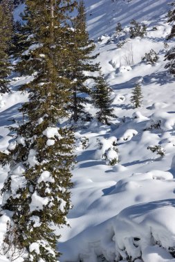Amazing Winter view of Rila Mountain near Malyovitsa peak, Bulgaria