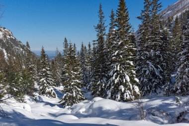 Amazing Winter view of Rila Mountain near Malyovitsa peak, Bulgaria