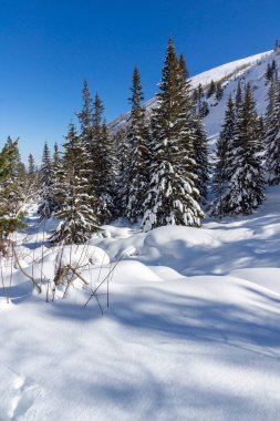 Amazing Winter view of Rila Mountain near Malyovitsa peak, Bulgaria