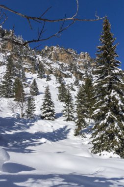 Amazing Winter view of Rila Mountain near Malyovitsa peak, Bulgaria