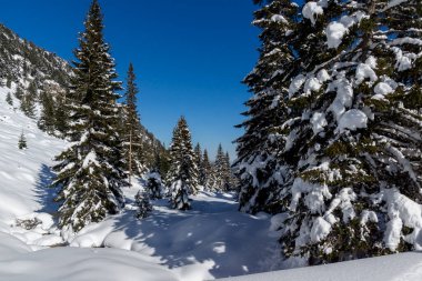 Amazing Winter view of Rila Mountain near Malyovitsa peak, Bulgaria