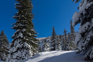 Amazing Winter view of Rila Mountain near Malyovitsa peak, Bulgaria