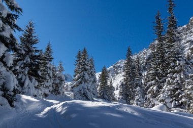 Amazing Winter view of Rila Mountain near Malyovitsa peak, Bulgaria