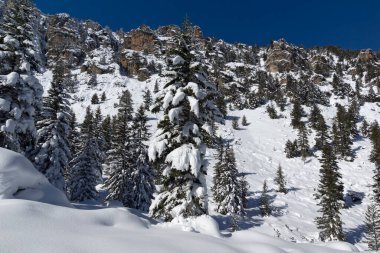 Amazing Winter view of Rila Mountain near Malyovitsa peak, Bulgaria
