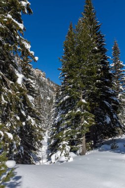 Amazing Winter view of Rila Mountain near Malyovitsa peak, Bulgaria