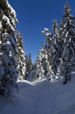 Amazing Winter view of Rila Mountain near Malyovitsa peak, Bulgaria