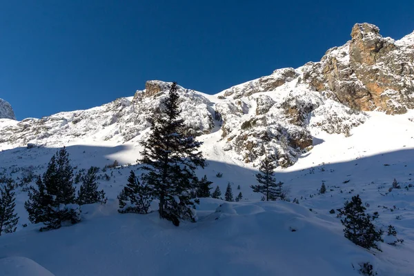 Geweldige Winter Uitzicht Rila Mountain Buurt Van Malyovitsa Piek Bulgarije — Stockfoto