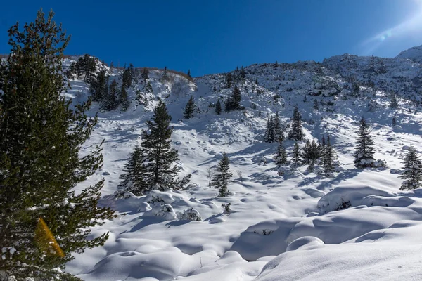 Дивовижний Зимовий Краєвид Рильської Гори Поблизу Вершини Маливіца Болгарія — стокове фото