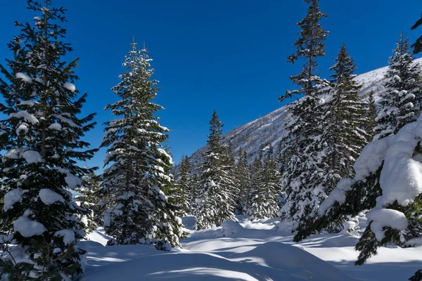 Amazing Winter View Rila Mountain Malyovitsa Peak Bulgaria — Stock Photo, Image