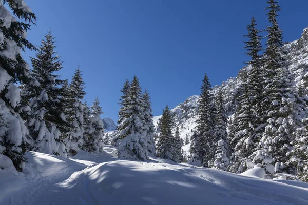 stock image Amazing Winter view of Rila Mountain near Malyovitsa peak, Bulgaria