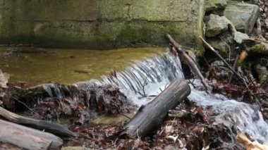 Bulgaristan 'ın Sofya kentindeki Vitosha Dağı' ndaki küçük nehrin yavaş görüntüsü