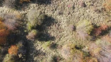 Bulgaristan 'ın Vitosha Dağı' nın İnanılmaz Sonbaharı