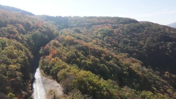 Fantastisk Antenn Hösten Vitosha Mountain Bulgarien — Stockvideo