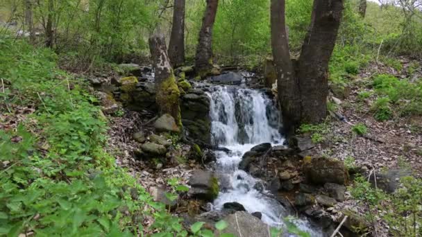 Весняний Вид Водоспад Біля Річки Скаженої Марії Гора Беласіца Болгарія — стокове відео