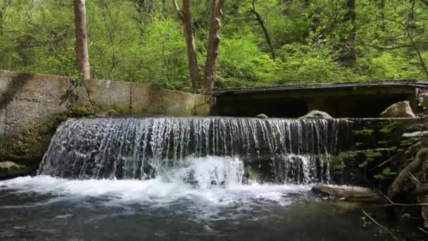 Spring View Waterfall Crazy Mary River Belasitsa Mountain Bulgaria — Stock Video