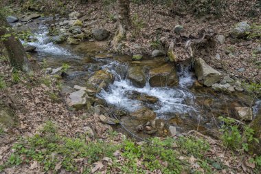 Crazy Mary Nehri 'ndeki Şelale Bahar Manzarası, Belasitsa Dağı, Bulgaristan