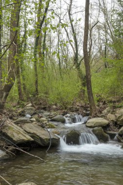 Crazy Mary Nehri 'ndeki Şelale Bahar Manzarası, Belasitsa Dağı, Bulgaristan