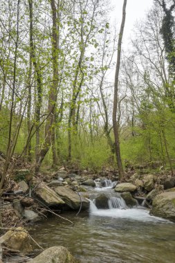 Crazy Mary Nehri 'ndeki Şelale Bahar Manzarası, Belasitsa Dağı, Bulgaristan