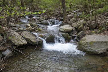 Crazy Mary Nehri 'ndeki Şelale Bahar Manzarası, Belasitsa Dağı, Bulgaristan