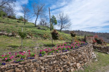 Bulgaristan 'ın Blagoevgrad Bölgesi, Ograzhden Dağı' ndaki Dolene Köyü Panoraması