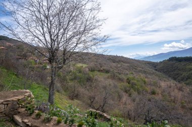 Bulgaristan 'ın Blagoevgrad Bölgesi, Ograzhden Dağı' ndaki Dolene Köyü Panoraması
