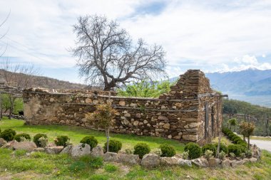 Bulgaristan 'ın Blagoevgrad Bölgesi, Ograzhden Dağı' ndaki Dolene Köyü Panoraması