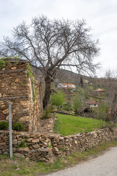 Bulgaristan Blagoevgrad Bölgesi Ograzhden Dağı Ndaki Dolene Köyü Panoraması — Stok fotoğraf