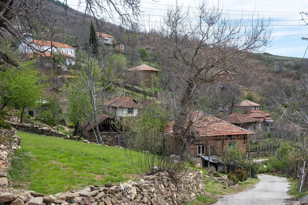불가리아의 블라고예 그라드 라즈덴 마을의 파노라마 — 스톡 사진